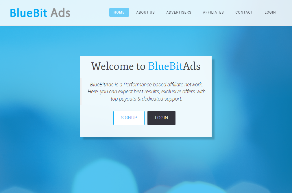 BlueBit Ads Review
