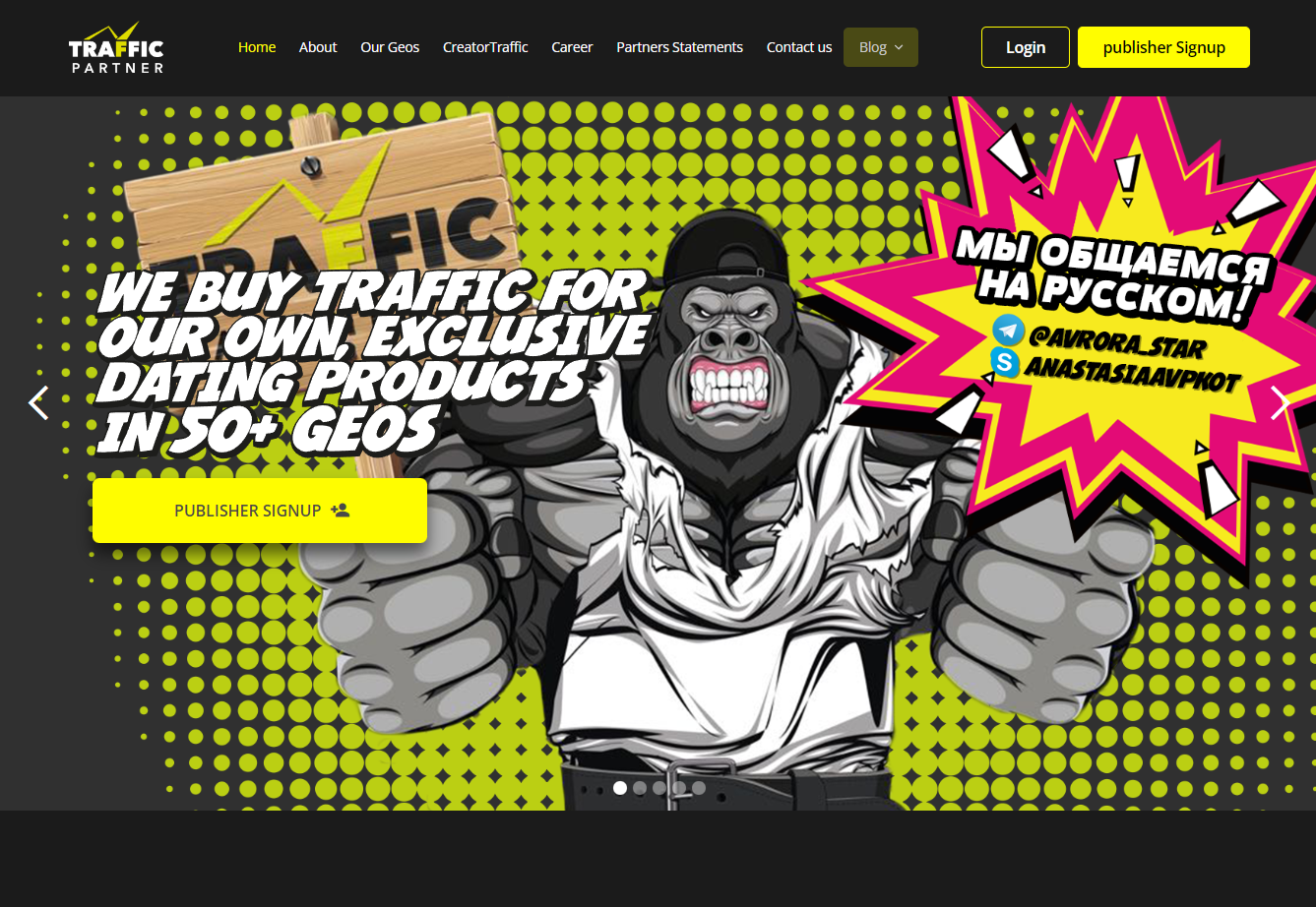 TrafficPartner Review