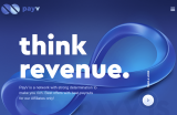PayV Review 2026 – Payouts, Offers & Ratings