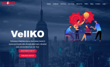 Vellko Review 2026 – Payouts, Offers & Ratings