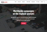 WinkLeads Review 2026 – Payouts, Offers & Ratings